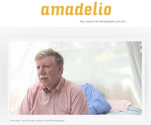 amadelio.com